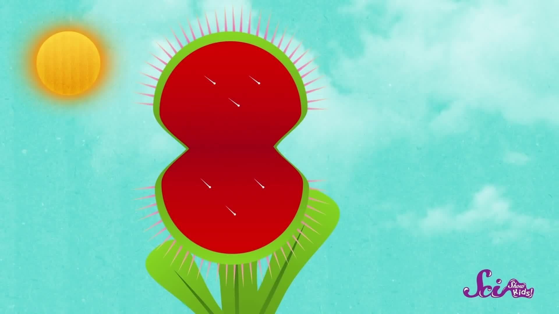 Meat-Eating Plants