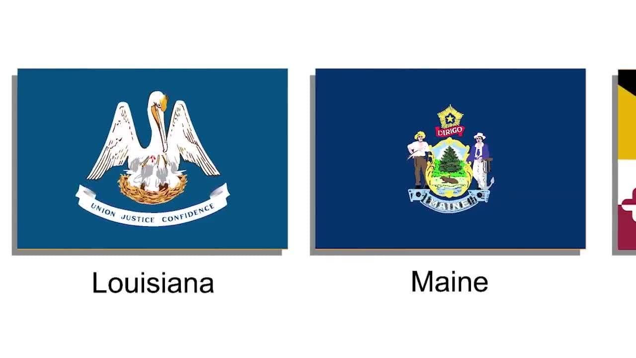 State Flags! Learn USA State Flags for Kids