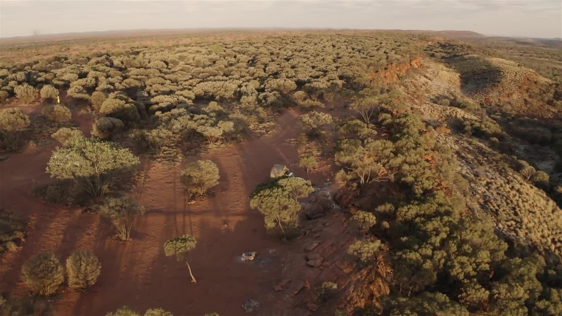 I WONDER - What Animals Live In Australia?