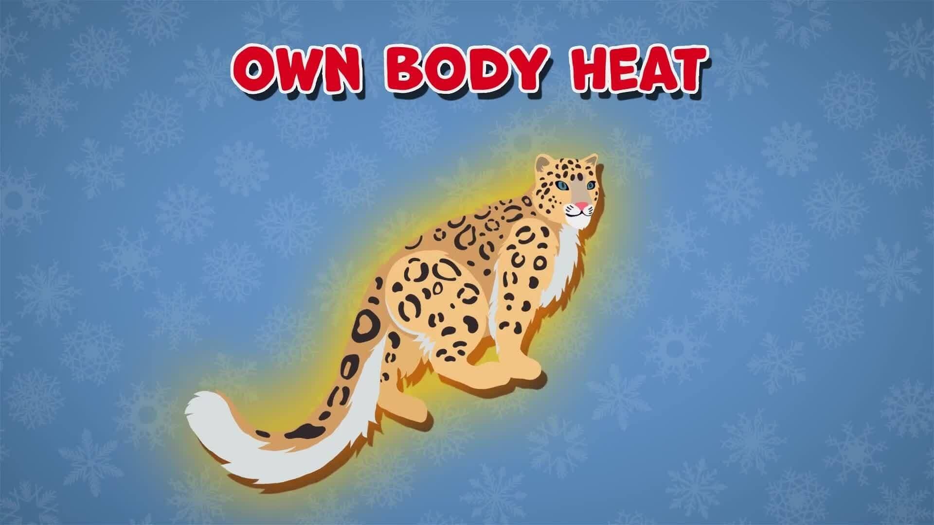 I WONDER - What Animals Live In Snowy Conditions?