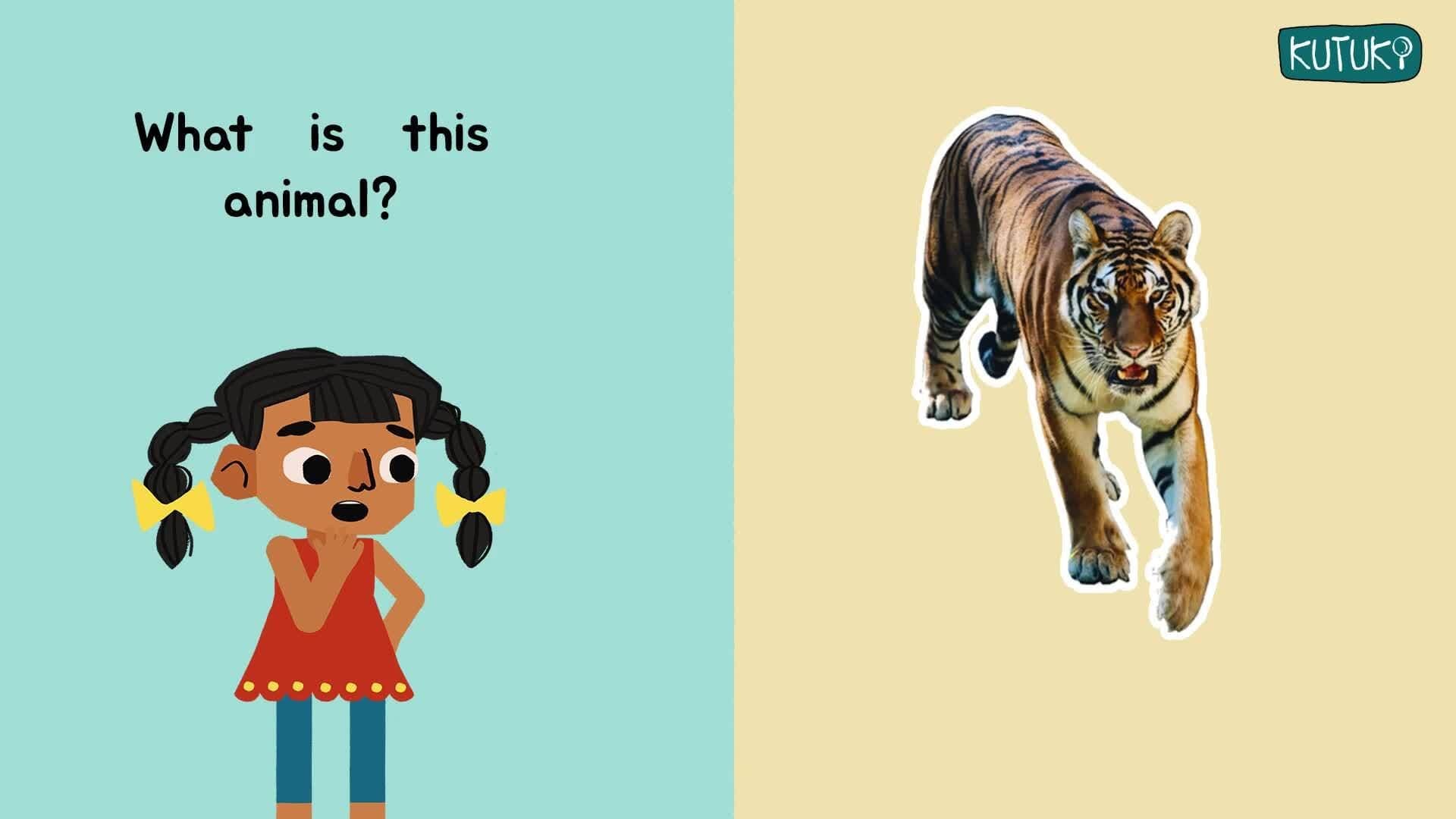 Introduction to Wild Animals