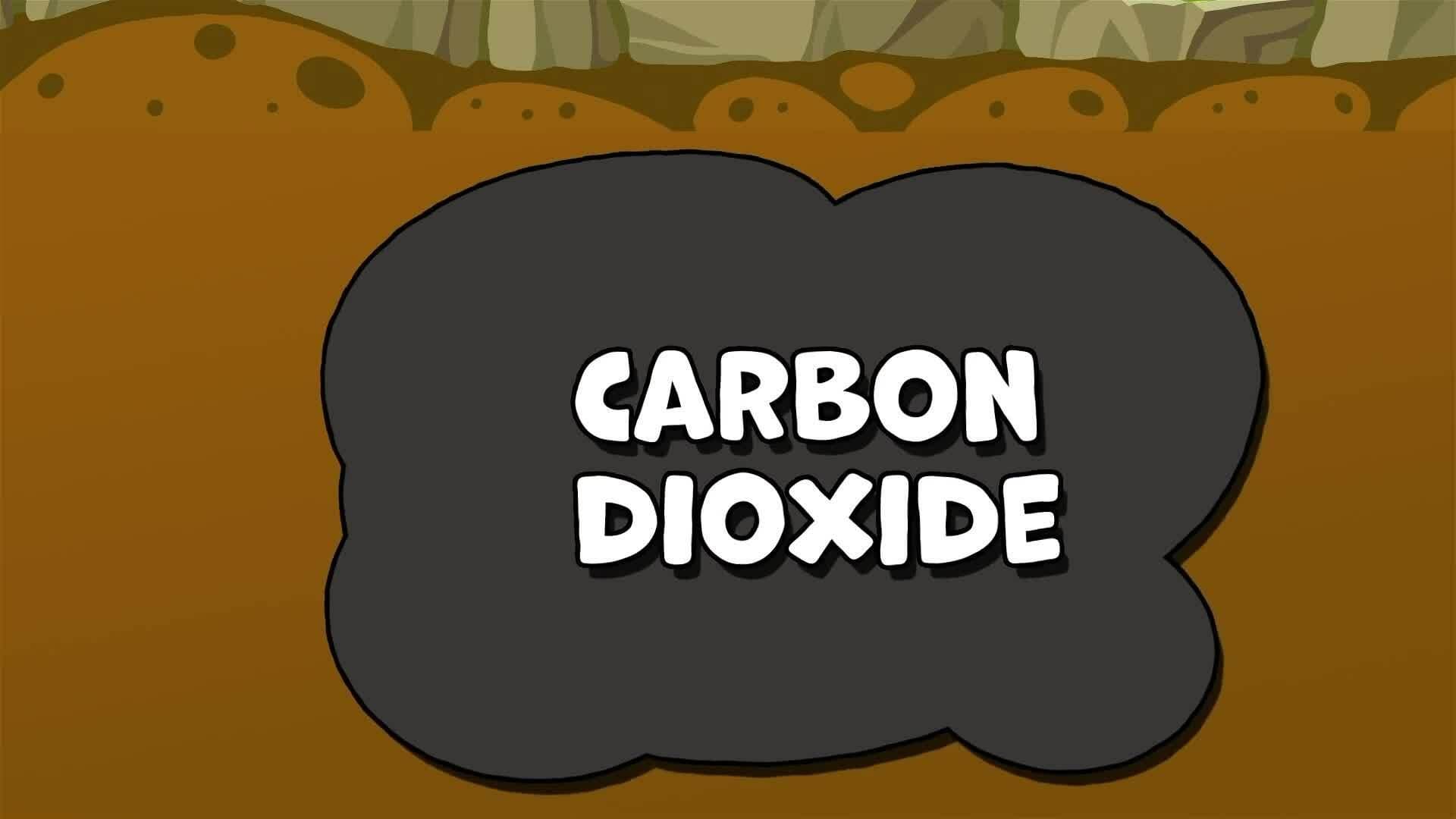 I WONDER - Can Wetlands Help With Climate Change?
