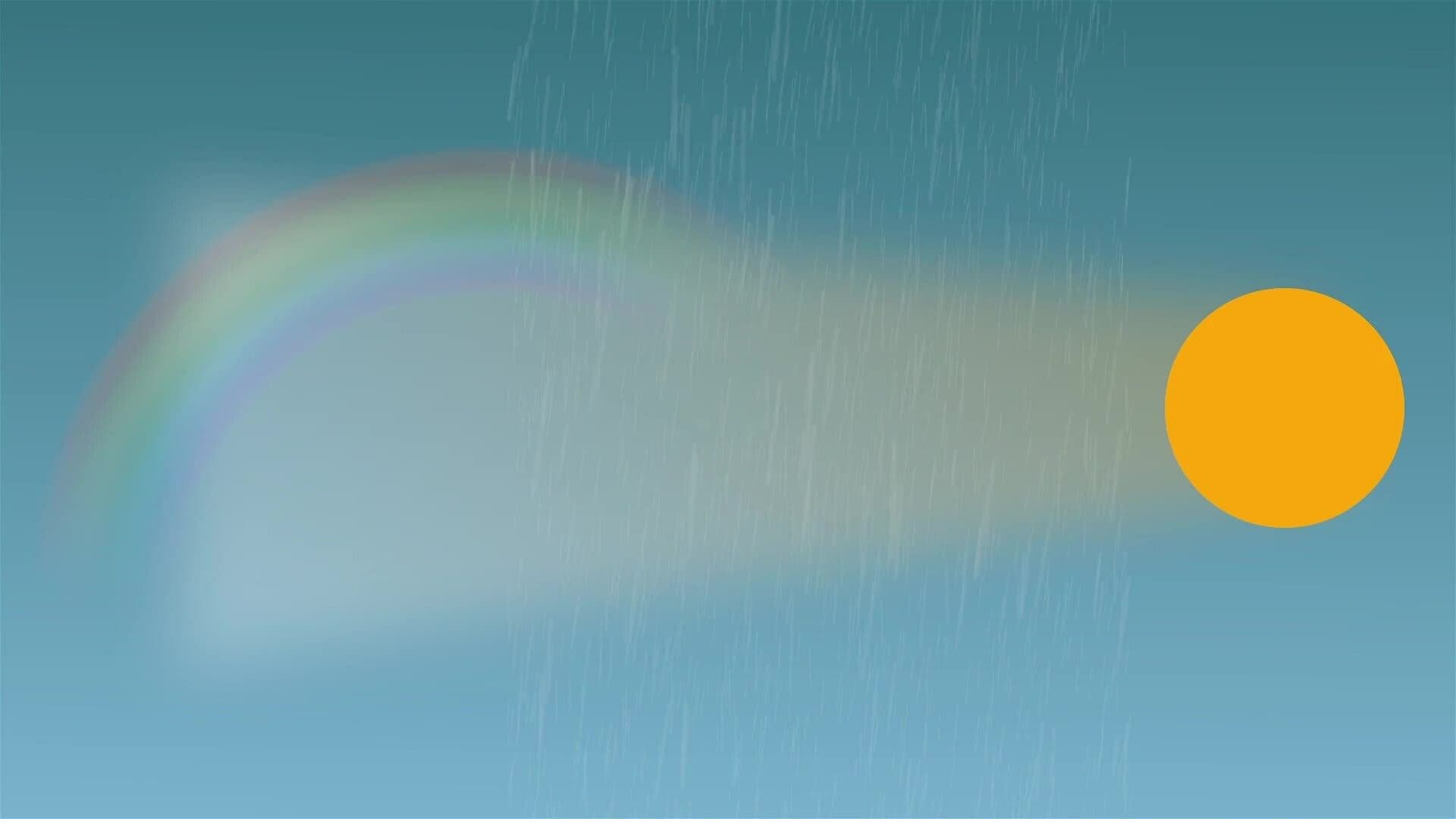 I WONDER - What Is Fogbow?