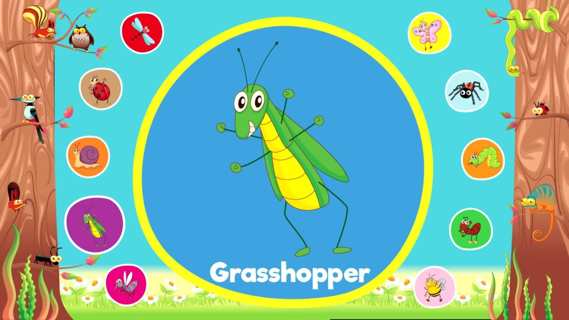 Let's Learn Insects