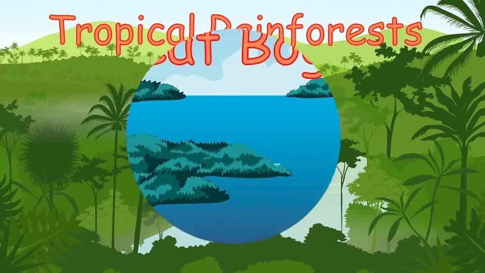 Plants and Environment