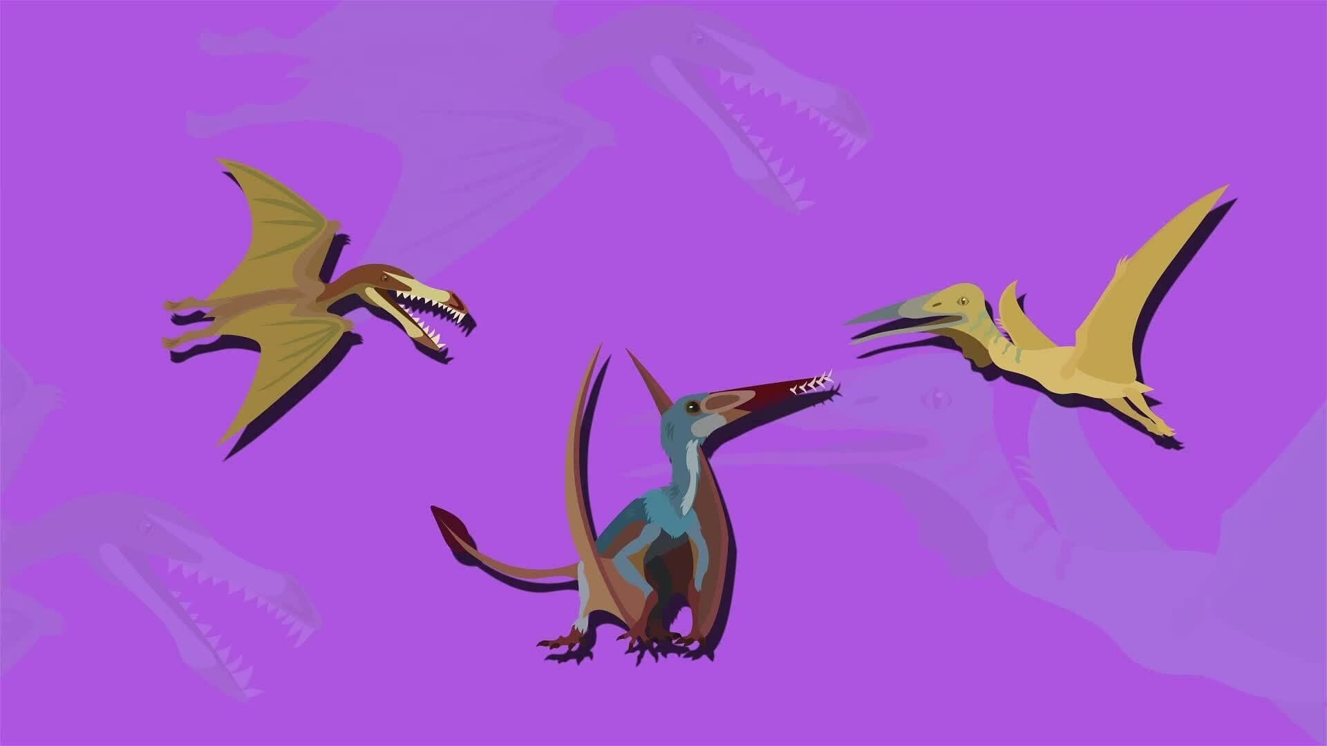 I WONDER - What Is A Pterosaur?