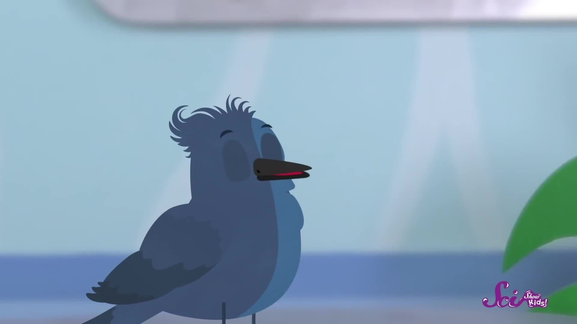 It’s a Bird! It’s a Plane! It’s a DINOSAUR!
