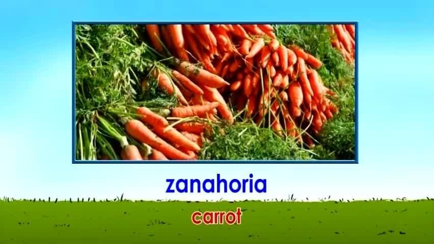 Intro Spanish Lesson: Words for Foods