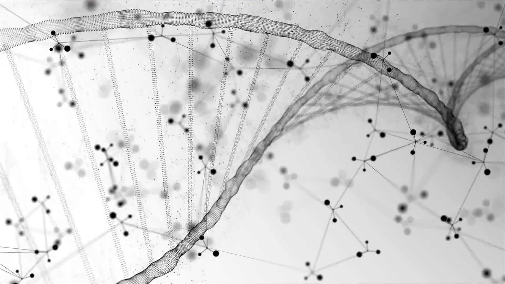I WONDER - What Is Genetic Variation?