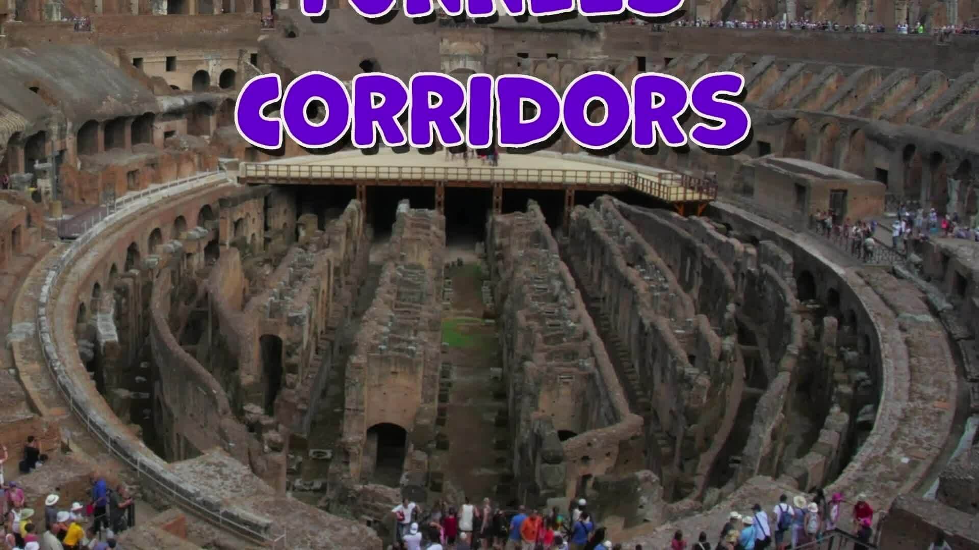 I WONDER - What Were The Tunnels Under The Colosseum For?