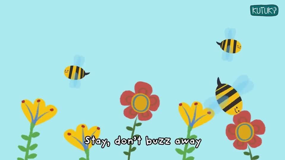 Insects and their movements