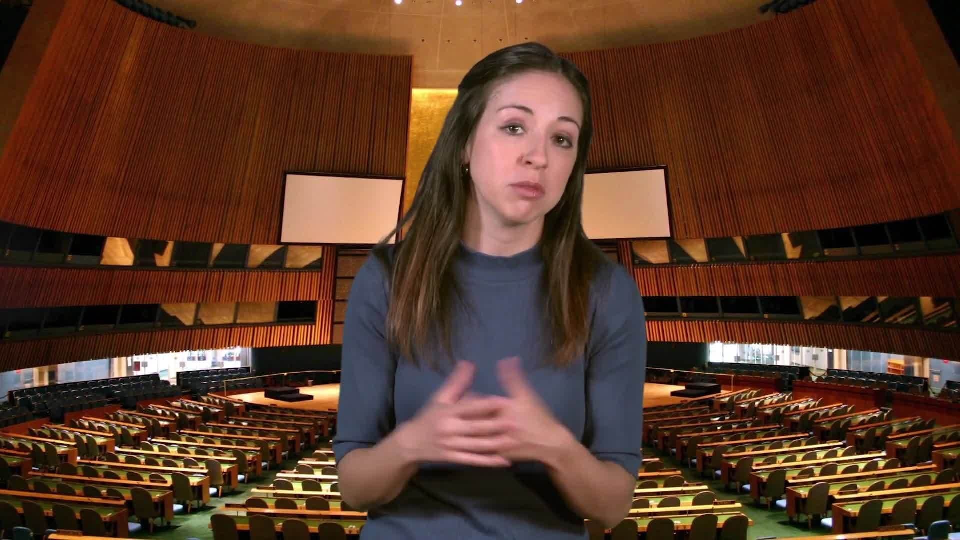 Social Studies Kids: All About the United Nations