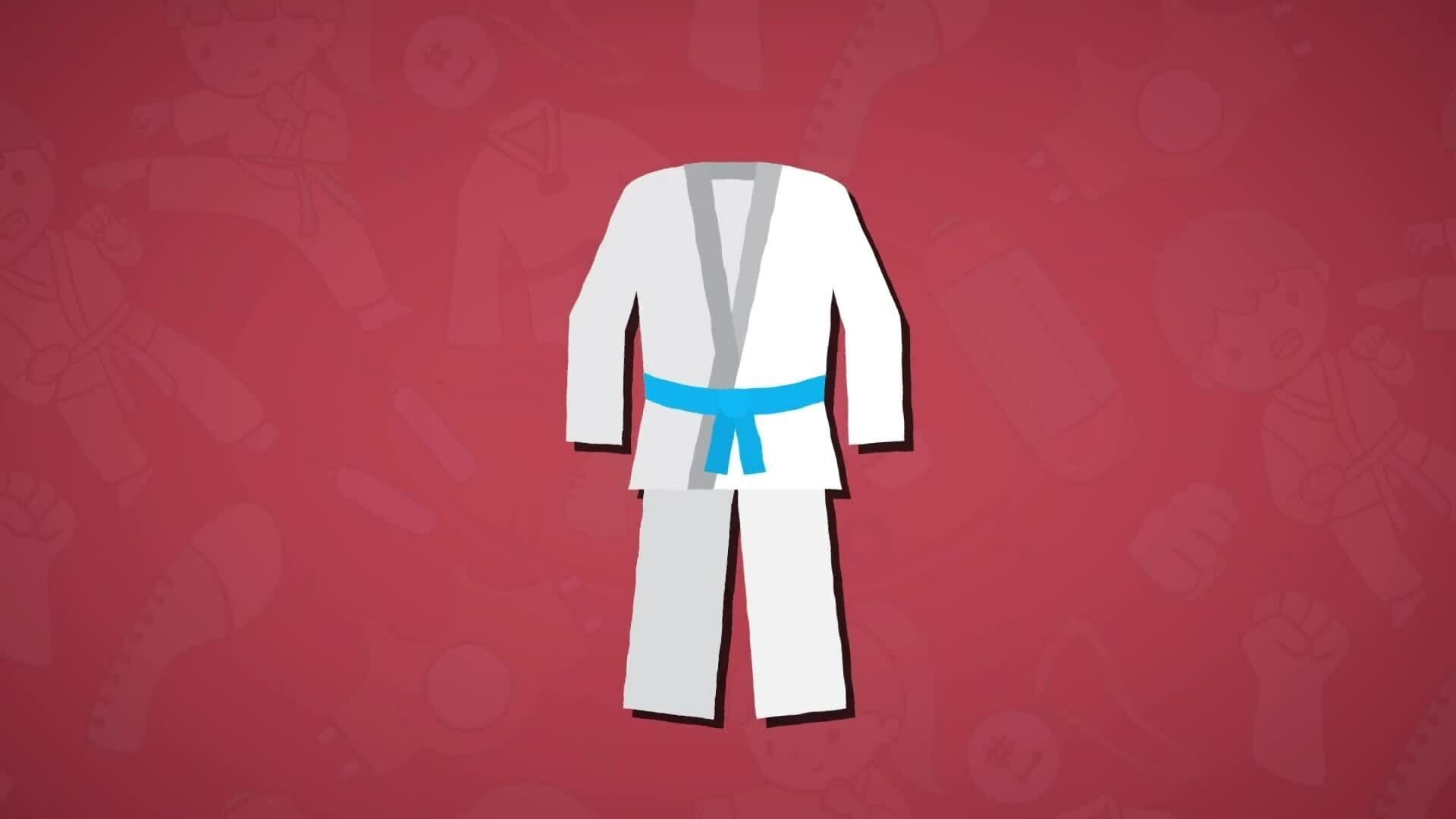I WONDER - What Do The Belts Mean In Judo?