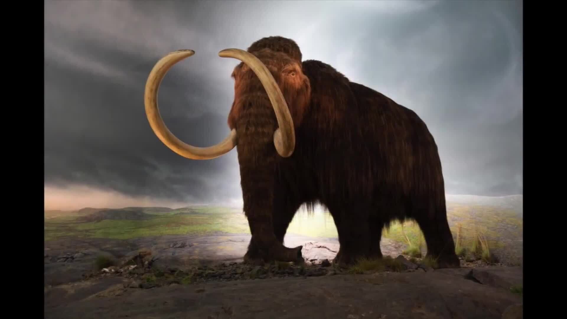 The Stone Age for Kids