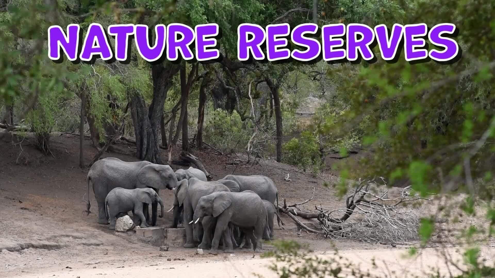 High Five Facts - Kenya